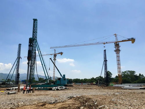 肇慶水產(chǎn)交易中心試運(yùn)營，開啟新鮮水產(chǎn)采購新篇章